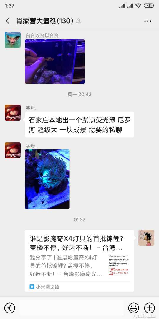 Screenshot_2020-04-15-01-37-04-361_com.tencent.mm.jpg