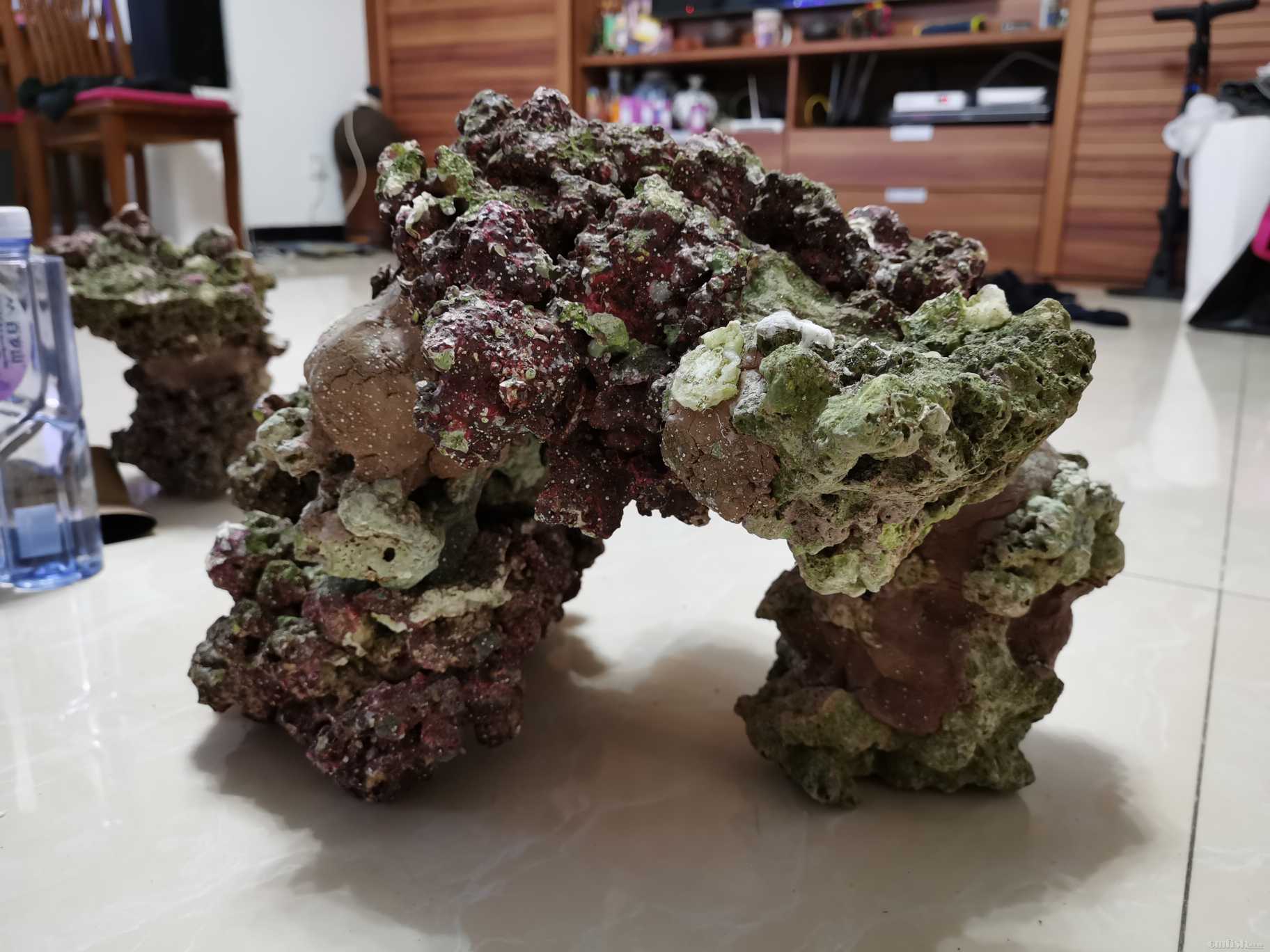 转活石造景已经送人了