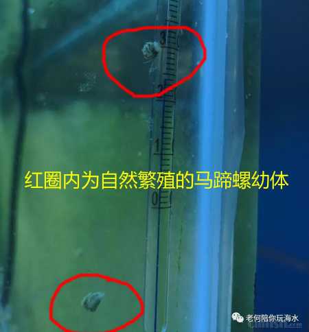 ΢��ͼƬ_20200516115552.jpg