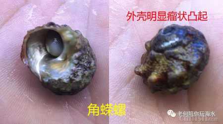 ΢��ͼƬ_20200516115601.jpg