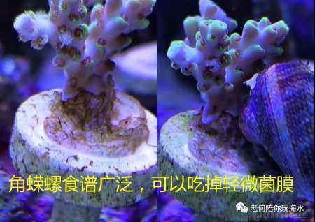 ΢��ͼƬ_20200516115604.jpg