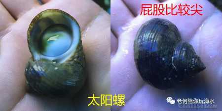 ΢��ͼƬ_20200516115627.jpg