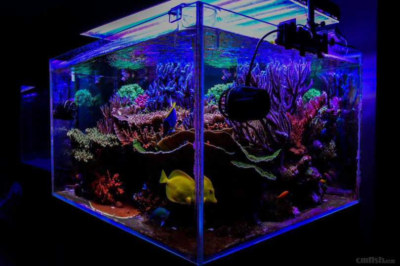 ��ϲ���ĽǶȣ�shanhu����������