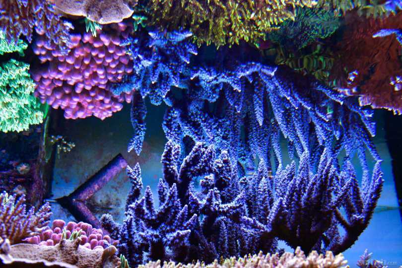 �ص����������ĵ�