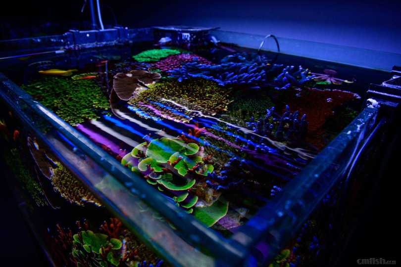 �Ѿ�û�пռ���