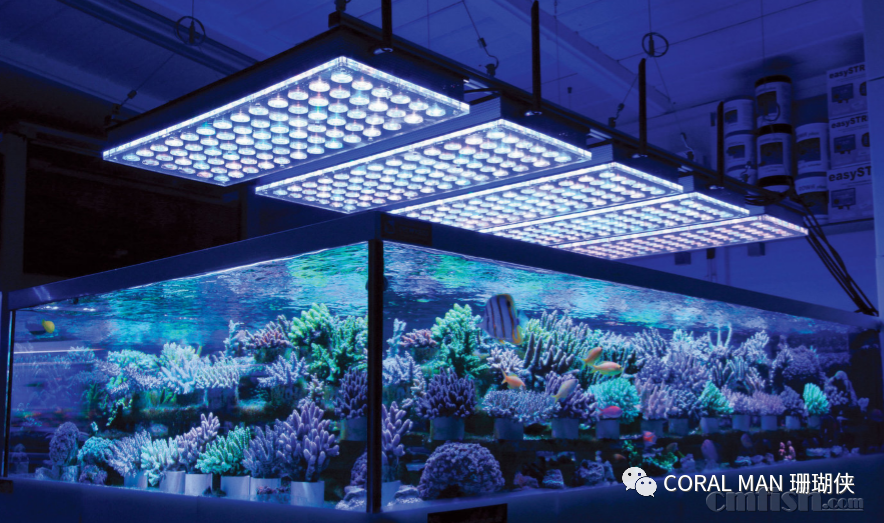 �¹��׸�˹�� Reef Korallentraum shanhuר�ŵ�չʾ�������LED��.png