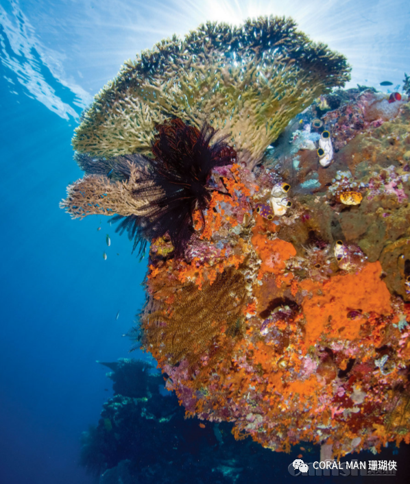 ��ɹ���shanhu������Ӧ����ģ����Ȼ�����µ�����ΪĿ�� �����Ĺ���ǿ�� ˮ�� �Լ���Ȼ.png