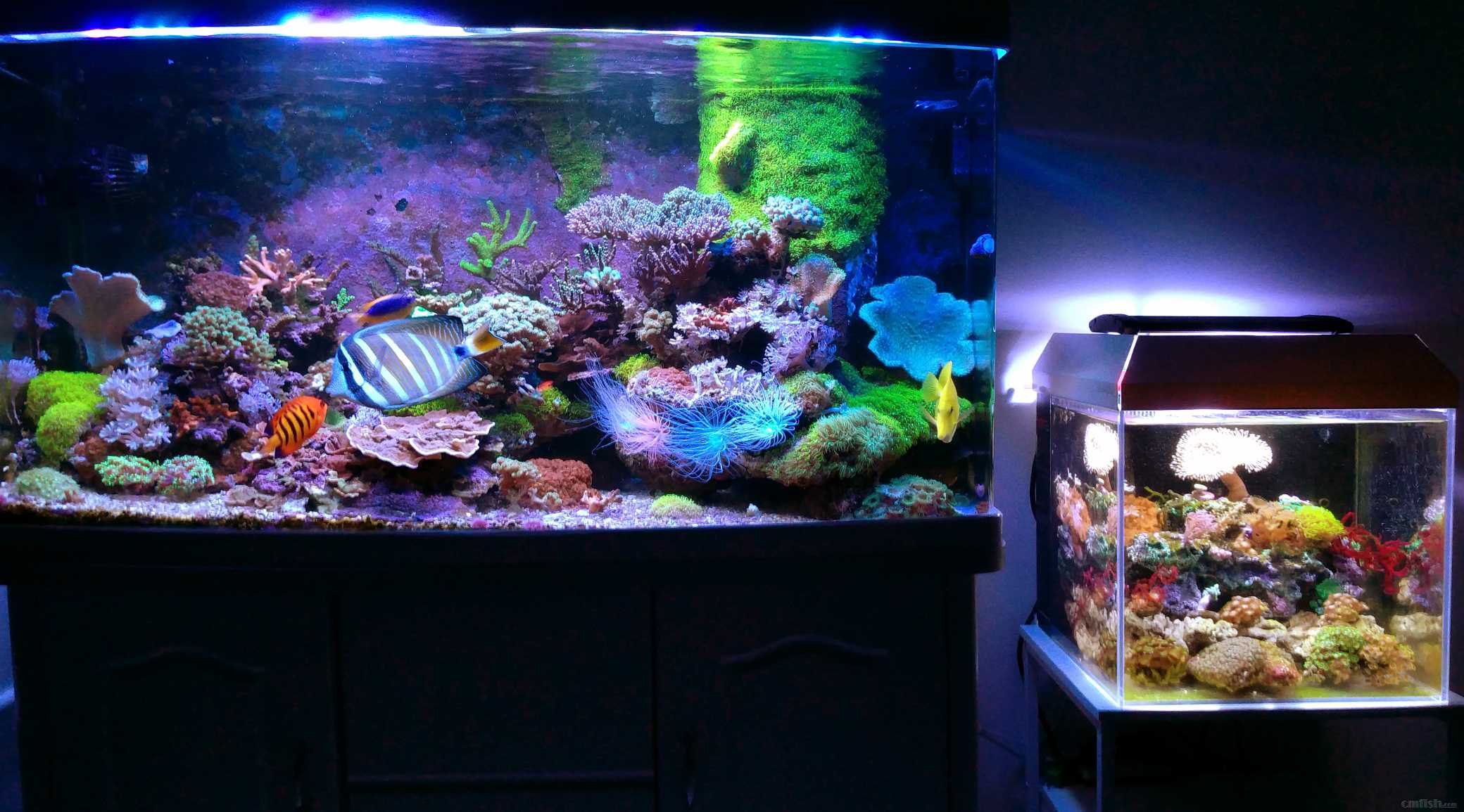 30372383 ����.jpg