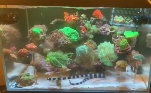 ΢��ͼƬ_20200605121745.png