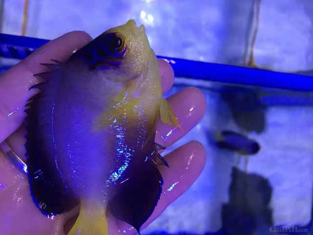 ����� (2).JPG