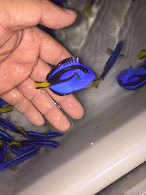 ����1 (2).JPG