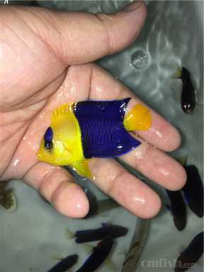 ʯ���� (2).jpg