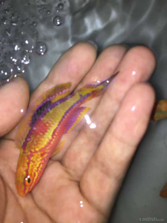 ì��ȸ�� (2).jpg