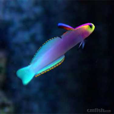 ��Ϫ�ػ��� (2).jpg