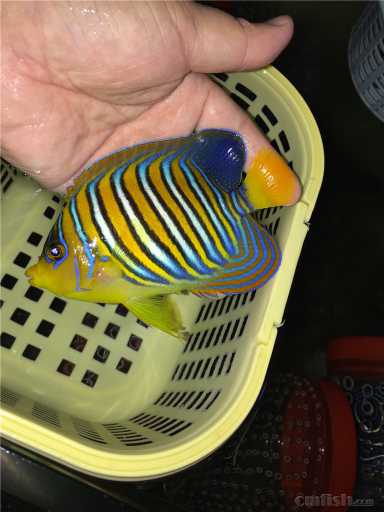 ��ë�� (2).jpg