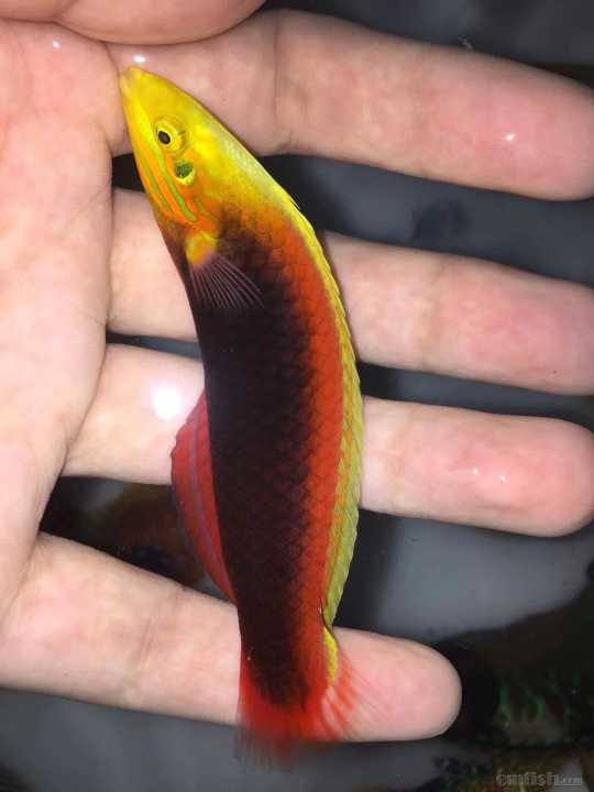 ���������� (2).jpg