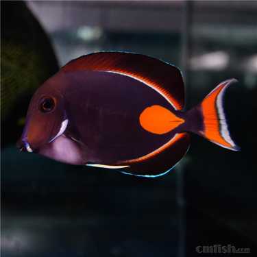 ���ĵ� (2).jpg