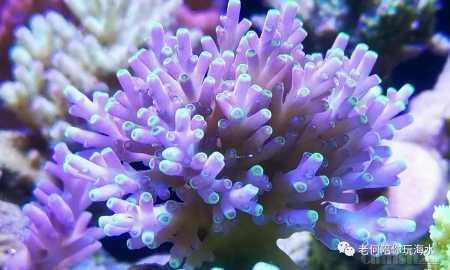 ΢��ͼƬ_20200928093306.jpg