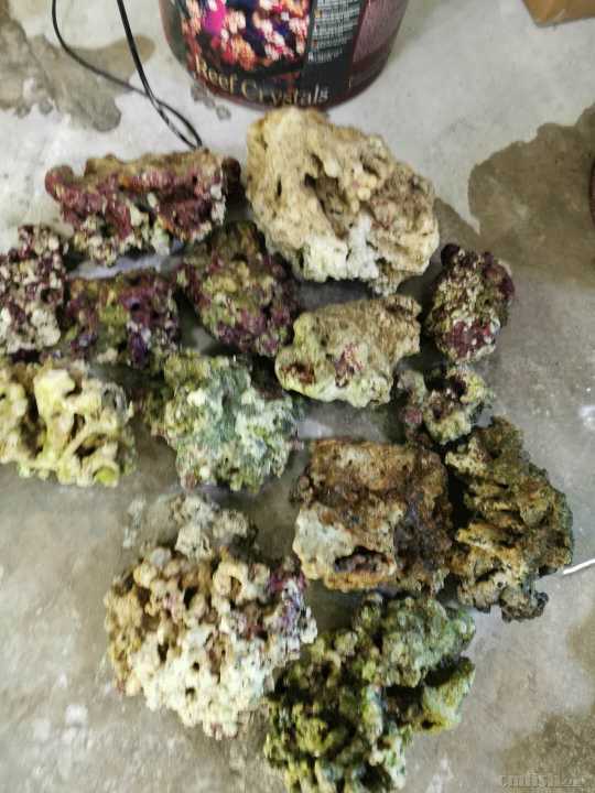 44fdd543c39fe8407260315b9171744 - ����.jpg