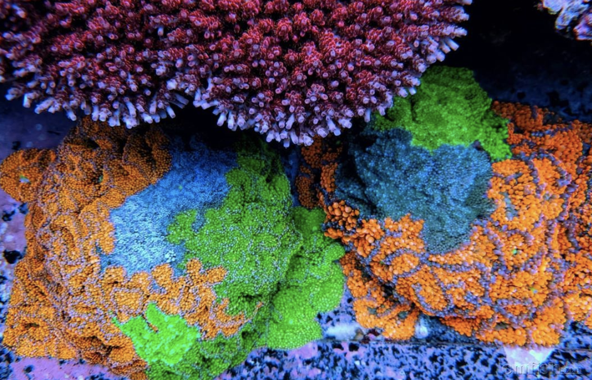 ����2020-08-28 ����8.52.30.png