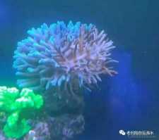 ΢��ͼƬ_20201025155753.jpg