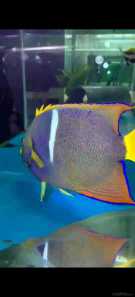 a58f3ebc6be24f9fea14f9c27495837.jpg