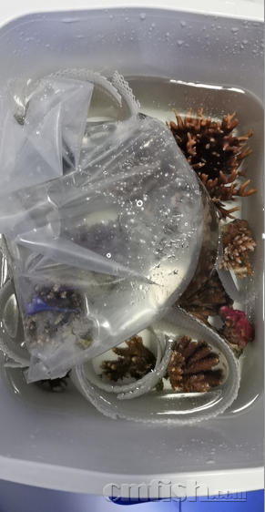 �ƶ�ɺ ��.PNG