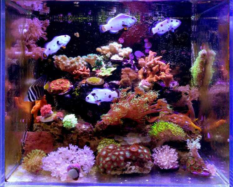 767909269 ����.jpg