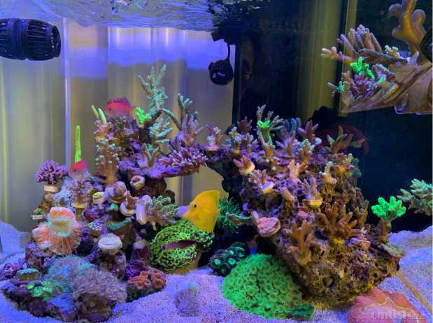 ��Ļ��ͼ 2020-12-28 201943.jpg