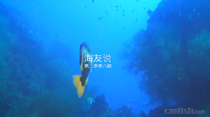 B98FC762-E03F-473e-8E47-16B1941612FB - ����.png
