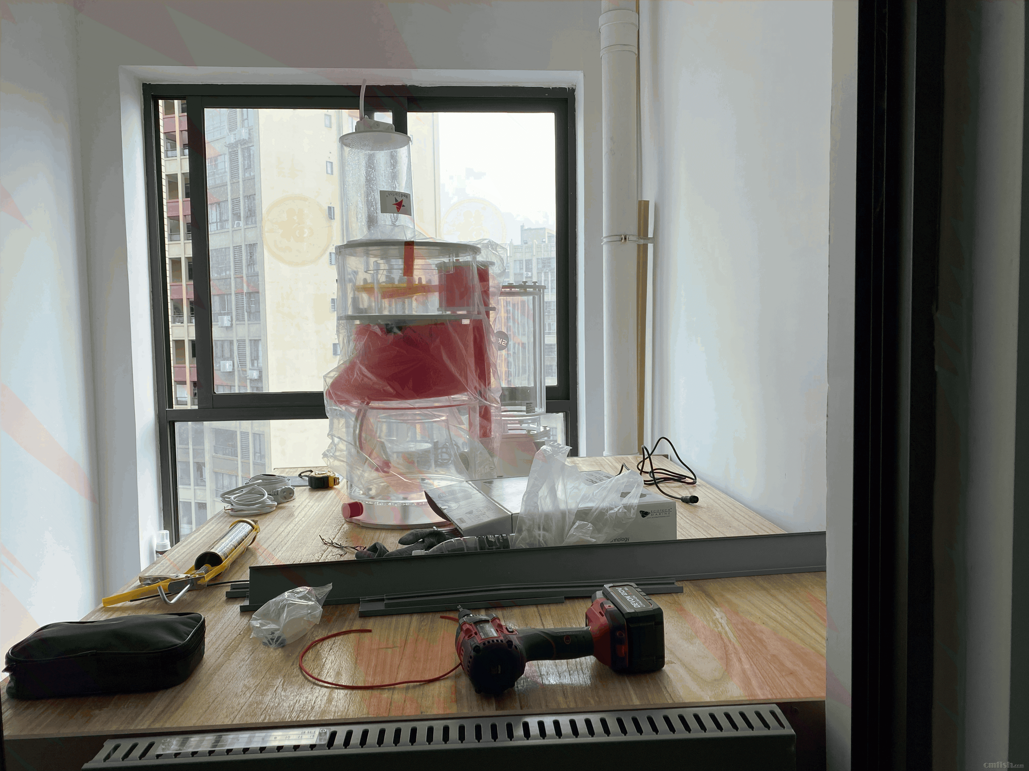 tempImageI7HFTa.gif