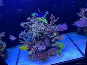 ΢��ͼƬ_202103202359243.jpg