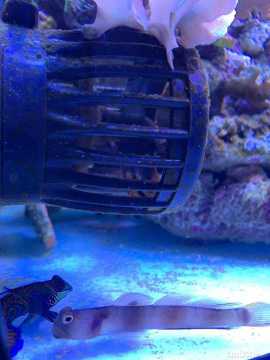 ΢��ͼƬ_20210320235924.jpg