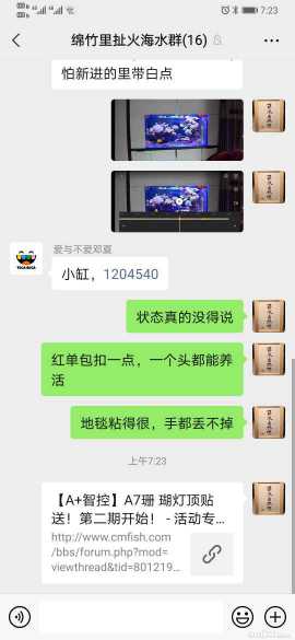 Screenshot_20210405_072344_com.tencent.mm.jpg