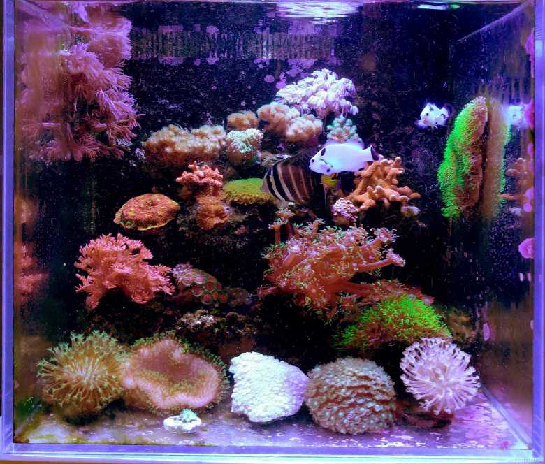 50305500 ����.jpg