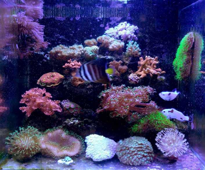 1880382359 ����.jpg