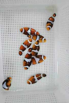΢��ͼƬ_202104121502533.jpg