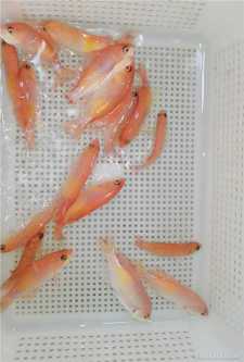 ΢��ͼƬ_2021051709174514.jpg