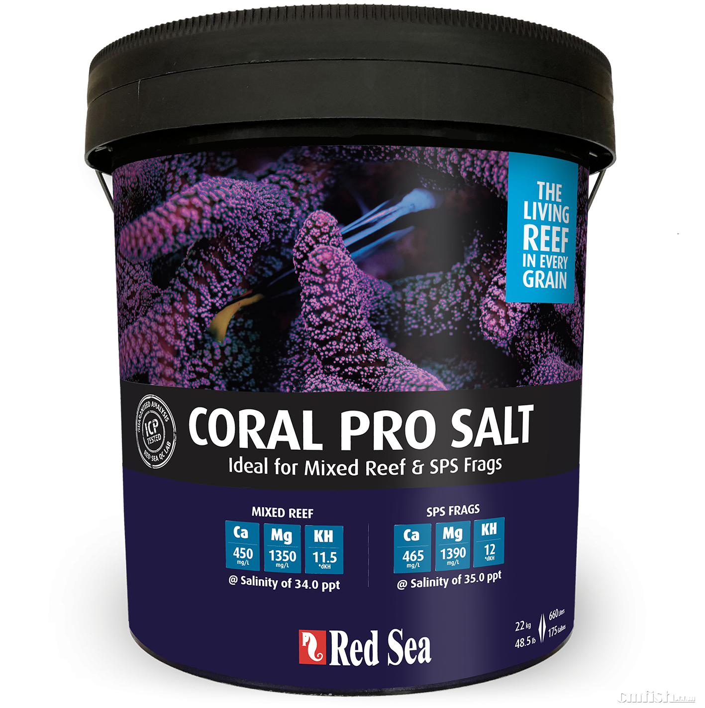 NEW CP Salt 22kg bucket.png