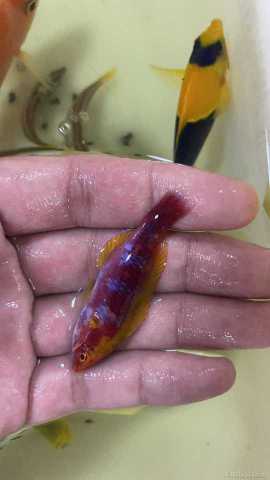 ΢��ͼƬ_202107151056359.jpg