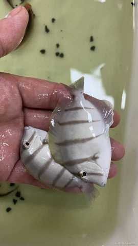 ΢��ͼƬ_202107151057231.jpg