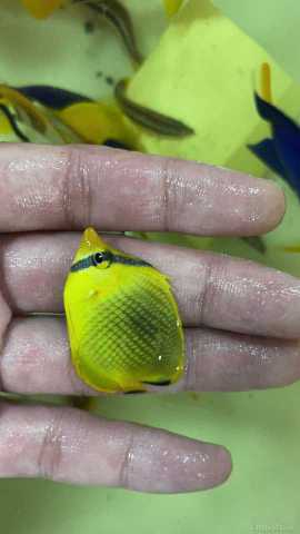 ΢��ͼƬ_2021071510563510.jpg