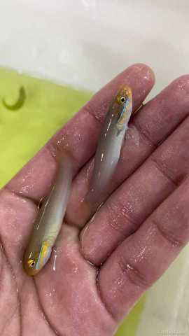 ΢��ͼƬ_2021071510572420.jpg