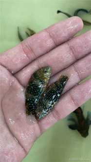΢��ͼƬ_202107181026528.jpg