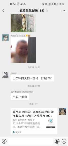 11.jpg