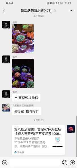 ΢��ͼƬ_2021080411102210.jpg