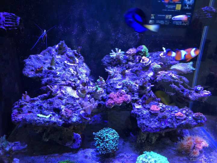 ΢��ͼƬ_202110221011491.jpg