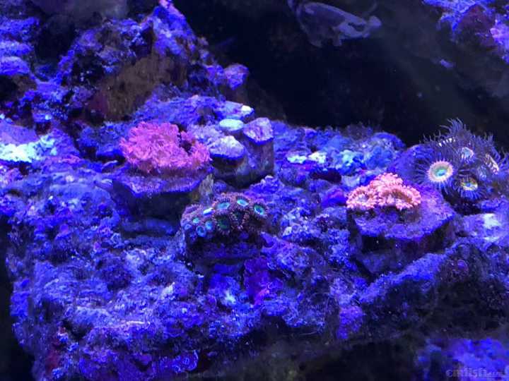 ΢��ͼƬ_202110221011492.jpg