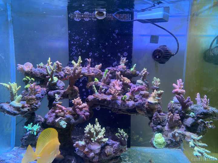 ΢��ͼƬ_202110221011499.jpg