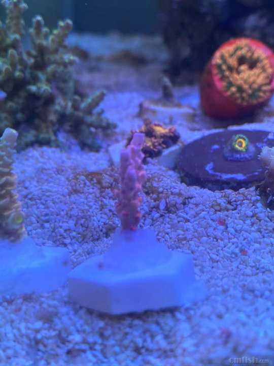 ΢��ͼƬ_202110221011497.jpg
